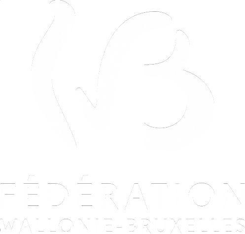 Formation Web Developer & Web Designer UI/UX - Logo Fédération Wallonie Bruxelles